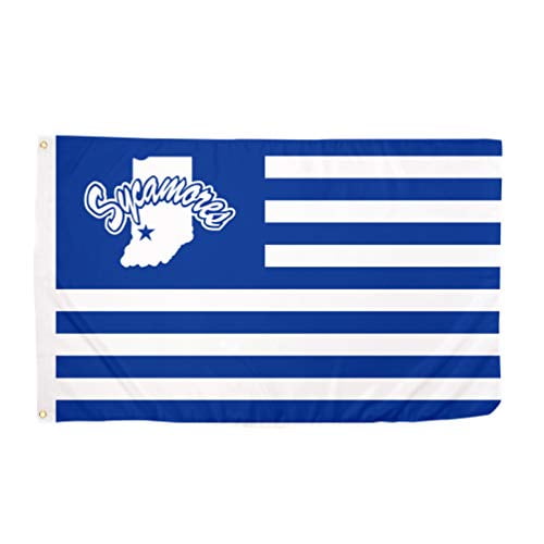 Desert Cactus South Carolina State University NCAA 100% Polyester Indoor Outdoor 3 feet x 5 feet Flag Desert Cactus South Carolina State University NCAA 100% Polyester Indoor Outdoor 3 feet x 5 feet Flag